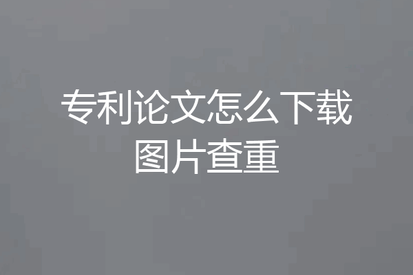 专利论文怎么下载图片查重