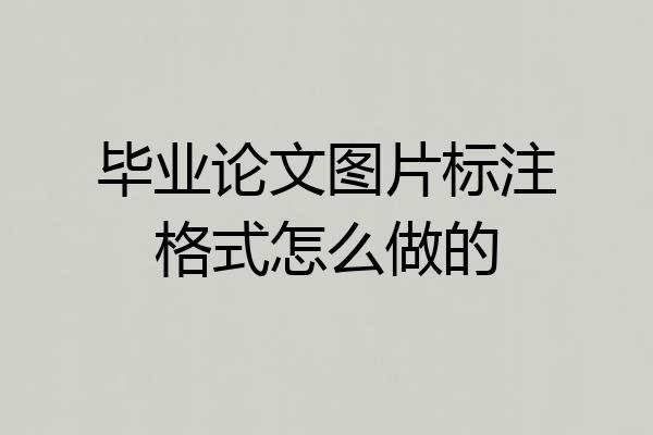 毕业论文图片标注格式怎么做的