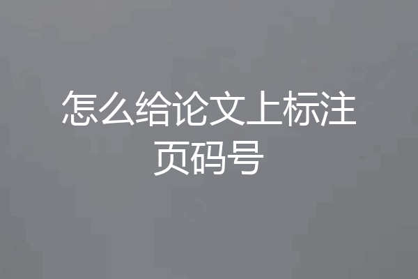 怎么给论文上标注页码号