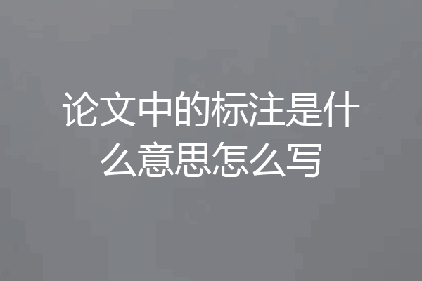 论文中的标注是什么意思怎么写