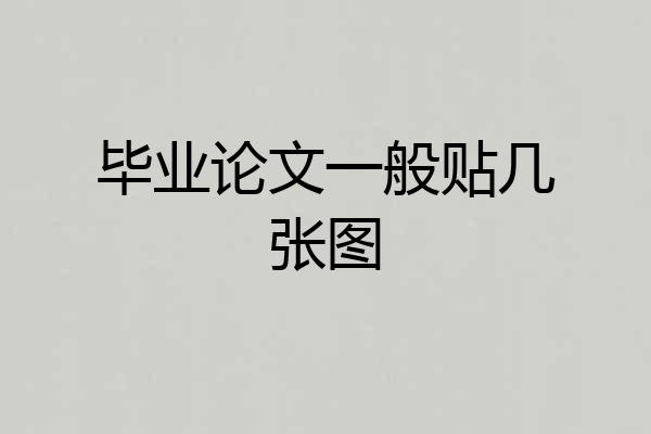 毕业论文一般贴几张图