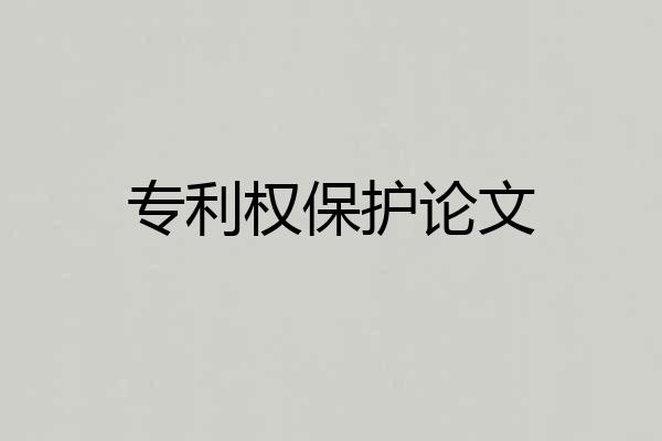 专利权保护论文