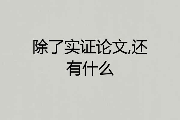 除了实证论文,还有什么