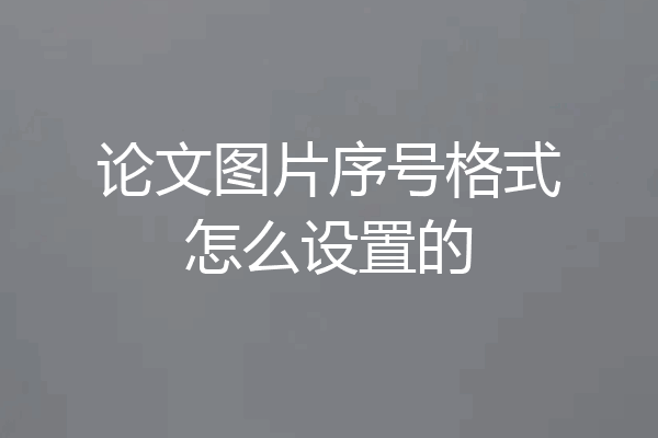 论文图片序号格式怎么设置的