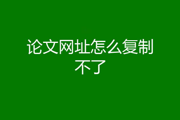 论文网址怎么复制不了