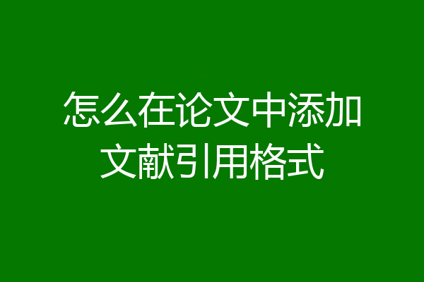 怎么在论文中添加文献引用格式