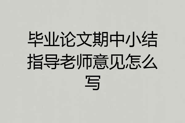 毕业论文期中小结指导老师意见怎么写