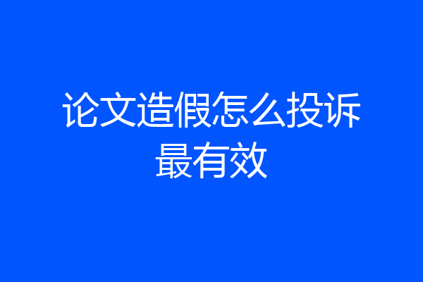 论文造假怎么投诉最有效