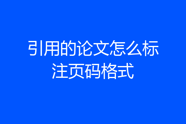 引用的论文怎么标注页码格式