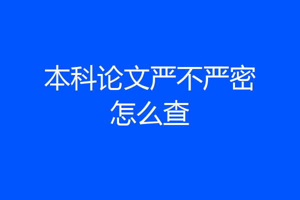 本科论文严不严密怎么查
