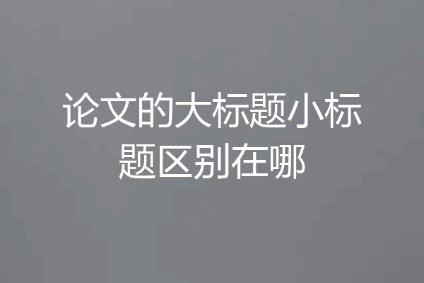 论文的大标题小标题区别在哪