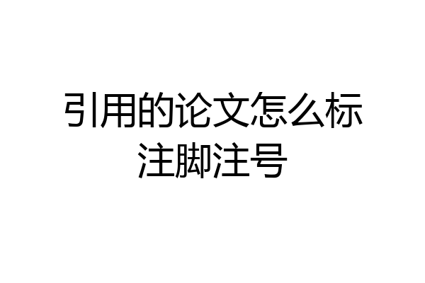 引用的论文怎么标注脚注号