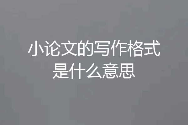 小论文的写作格式是什么意思
