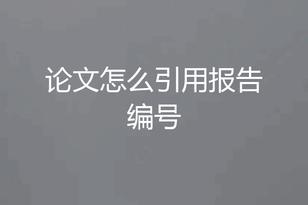 论文怎么引用报告编号