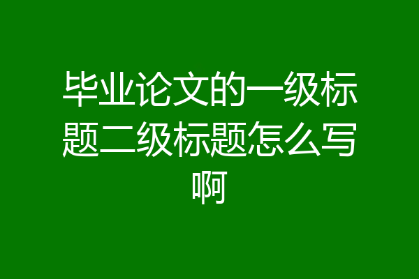 毕业论文的一级标题二级标题怎么写啊