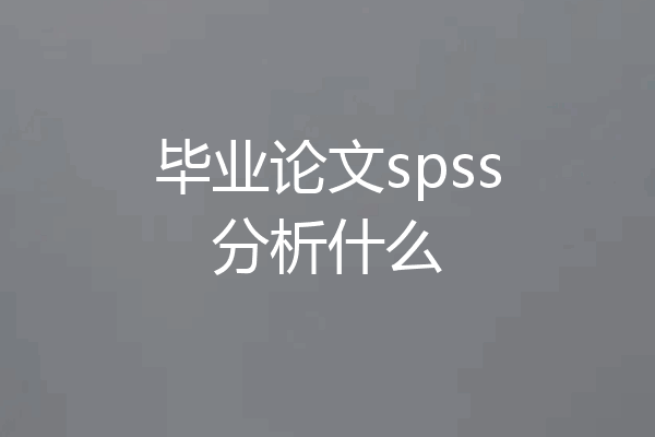 毕业论文spss分析什么