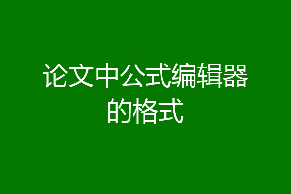 论文中公式编辑器的格式