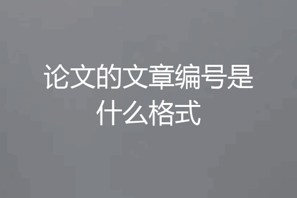 论文的文章编号是什么格式