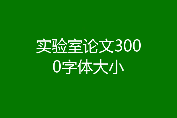 实验室论文3000字体大小