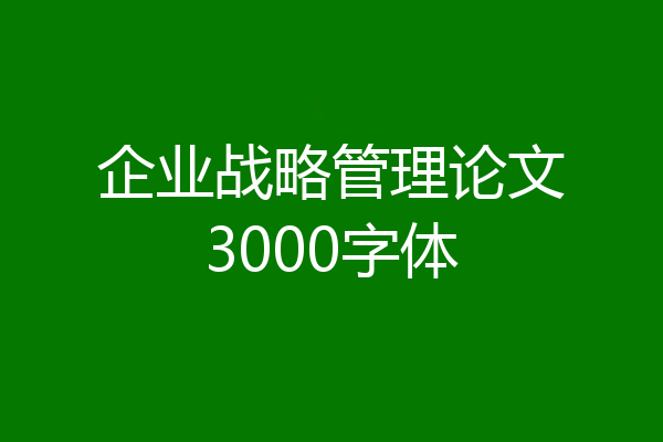 企业战略管理论文3000字体