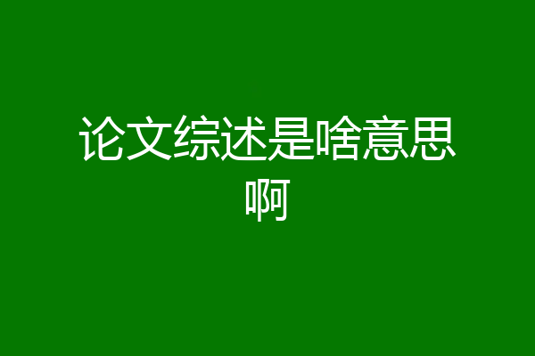 论文综述是啥意思啊