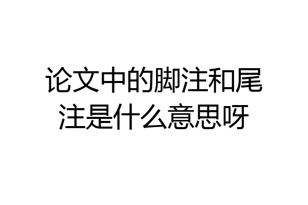 论文中的脚注和尾注是什么意思呀