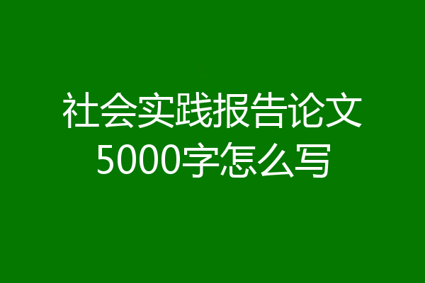 社会实践报告论文5000字怎么写