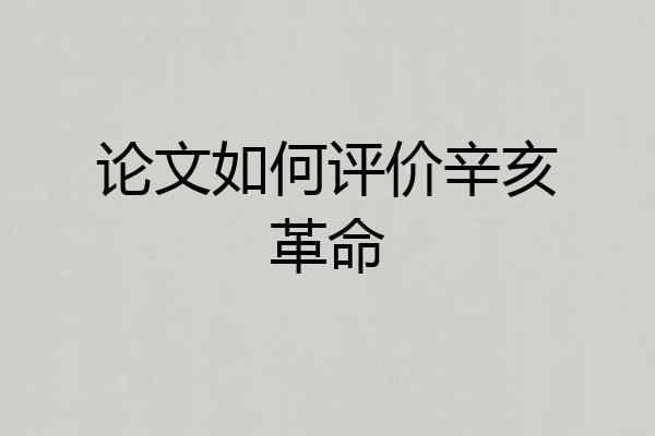 论文如何评价辛亥革命
