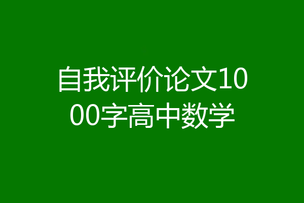 自我评价论文1000字高中数学