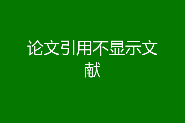论文引用不显示文献
