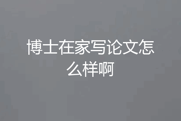 博士在家写论文怎么样啊