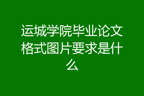 运城学院毕业论文格式图片要求是什么