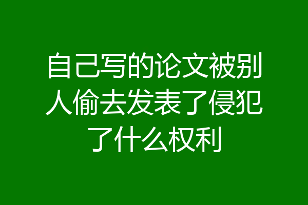 自己写的论文被别人偷去发表了侵犯了什么权利