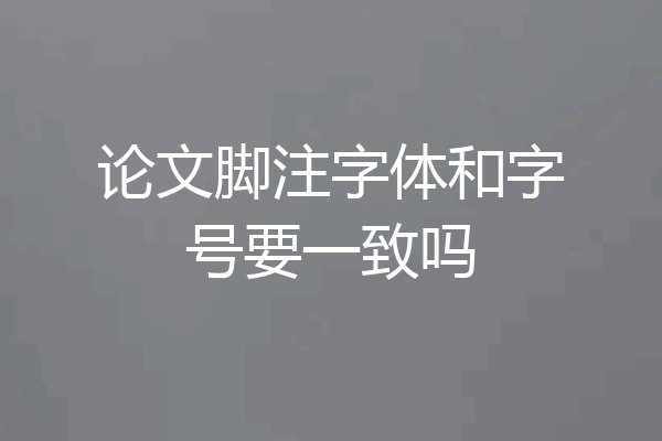 论文脚注字体和字号要一致吗