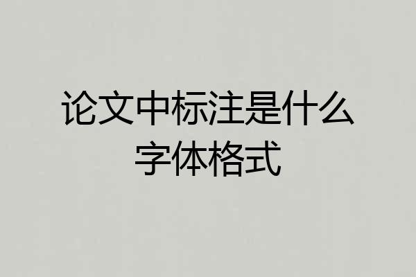 论文中标注是什么字体格式