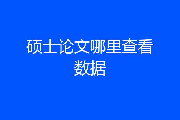 硕士论文哪里查看数据