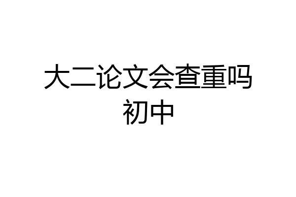 大二论文会查重吗初中