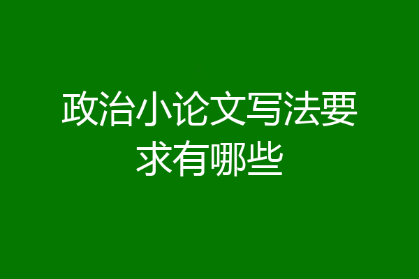 政治小论文写法要求有哪些