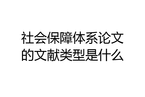 社会保障体系论文的文献类型是什么