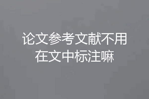 论文参考文献不用在文中标注嘛