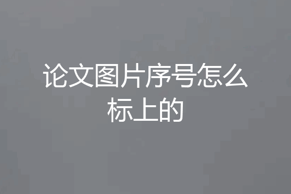 论文图片序号怎么标上的