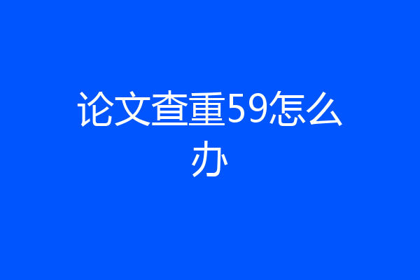 论文查重59怎么办