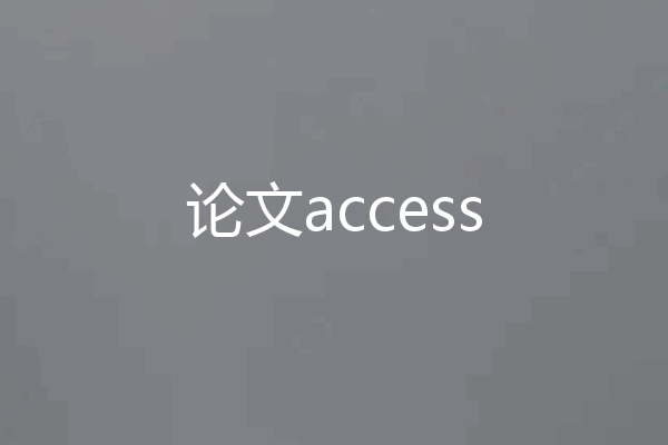 论文access