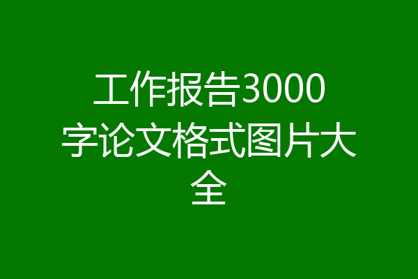 工作报告3000字论文格式图片大全