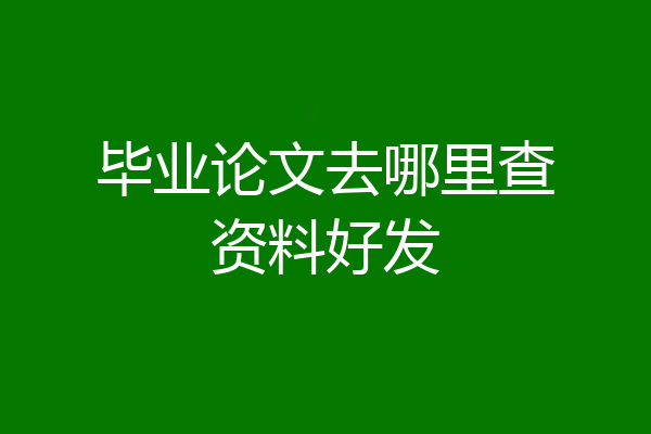毕业论文去哪里查资料好发