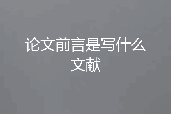 论文前言是写什么文献