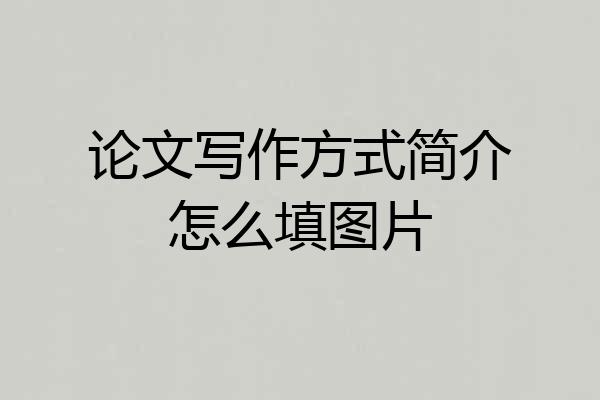论文写作方式简介怎么填图片