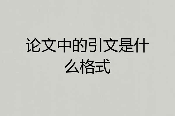 论文中的引文是什么格式