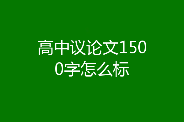 高中议论文1500字怎么标