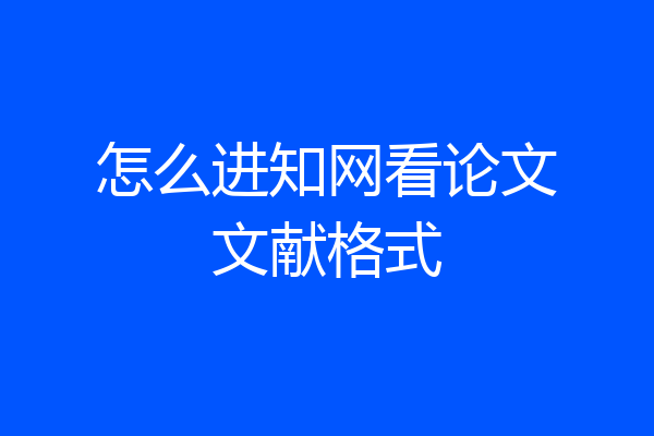 怎么进知网看论文文献格式